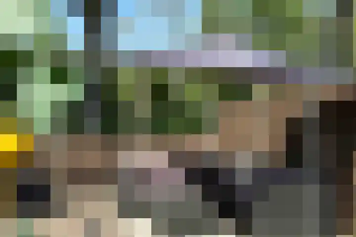 De Roobol 23 Zwartsluis thumbnail 23