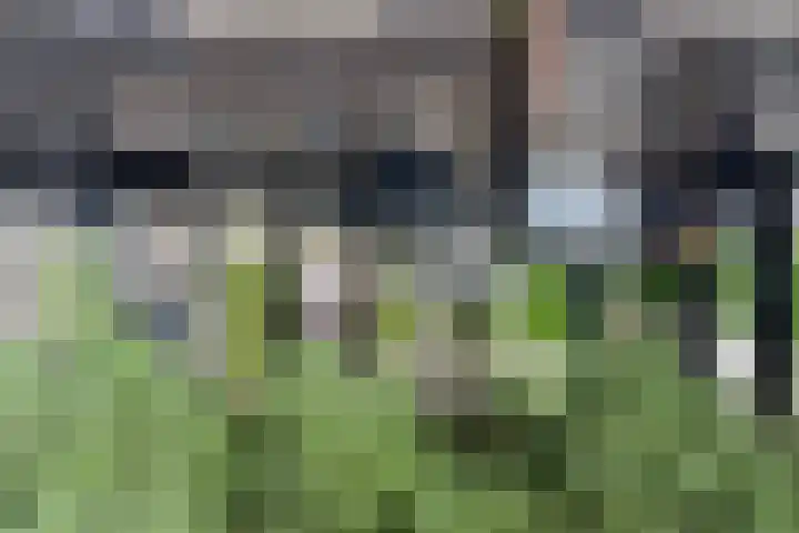 De Roobol 23 Zwartsluis thumbnail 24
