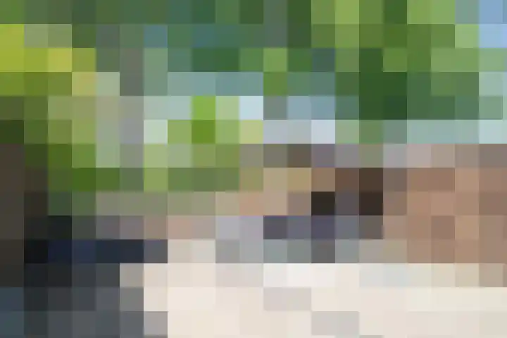 De Roobol 23 Zwartsluis thumbnail 25