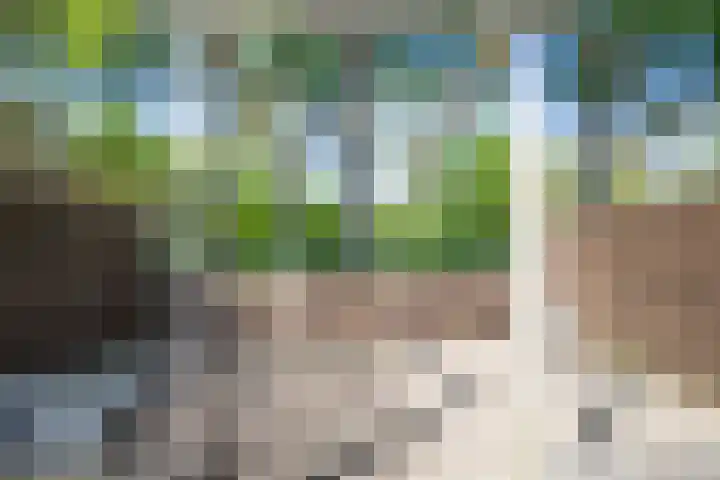 De Roobol 23 Zwartsluis thumbnail 27