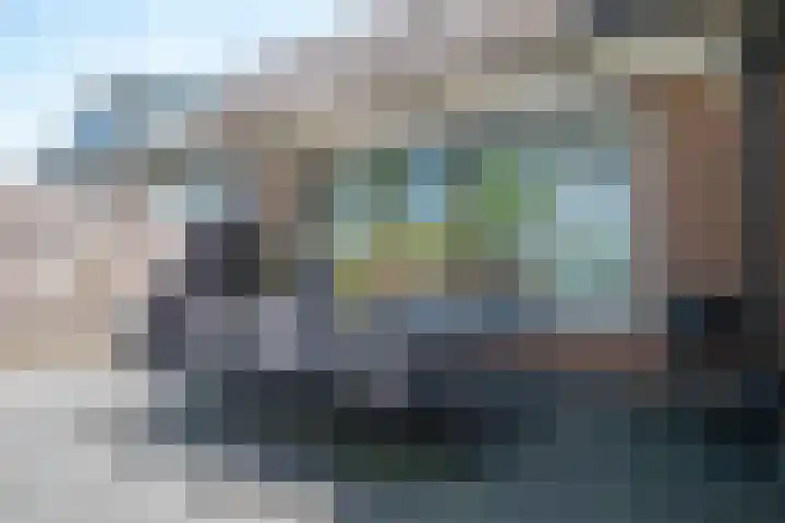 De Roobol 23 Zwartsluis thumbnail 30