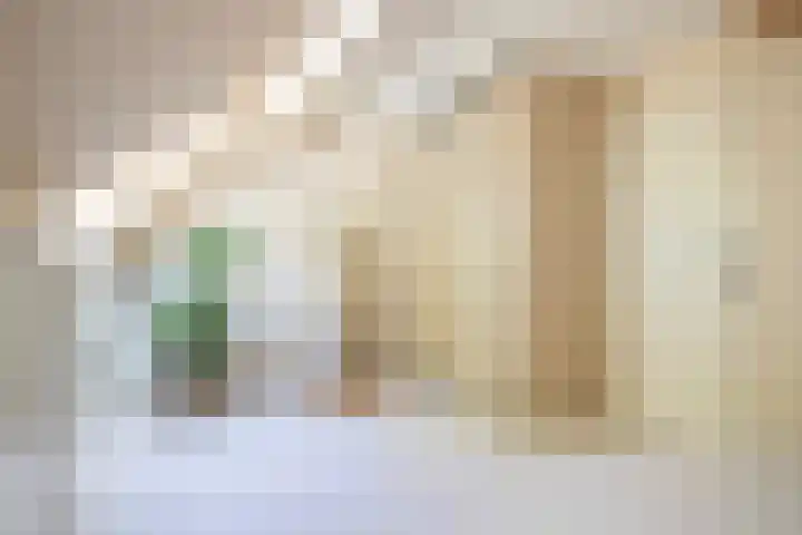 De Roobol 23 Zwartsluis thumbnail 32
