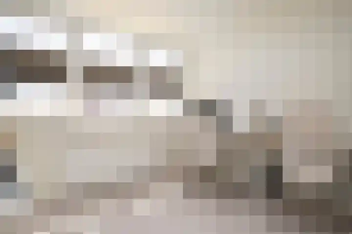 De Roobol 23 Zwartsluis thumbnail 34