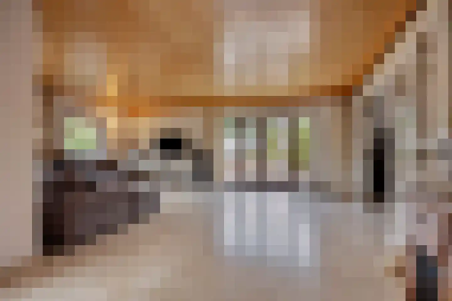 De Rooij 23 d Waalre thumbnail 11