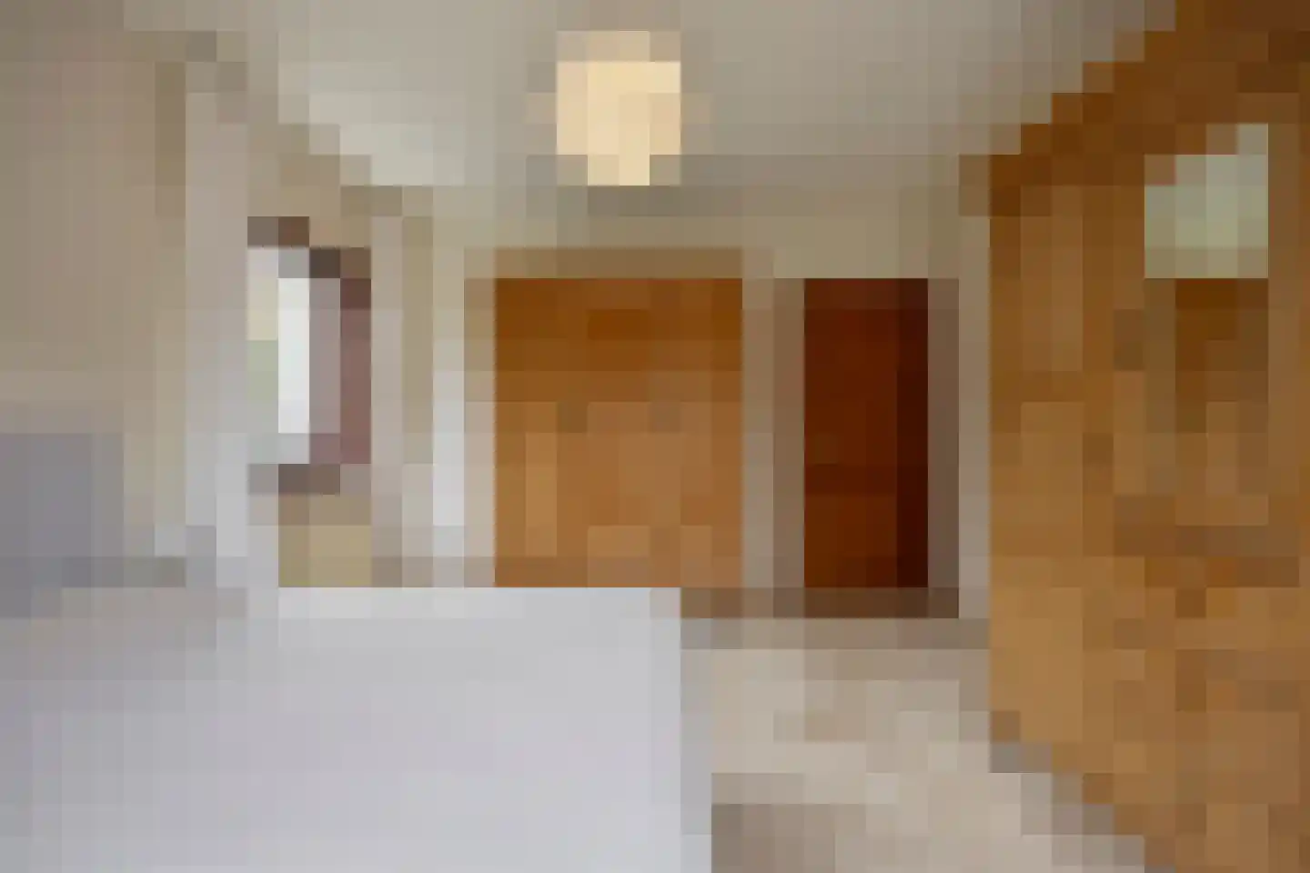 De Rooij 23 d Waalre thumbnail 16