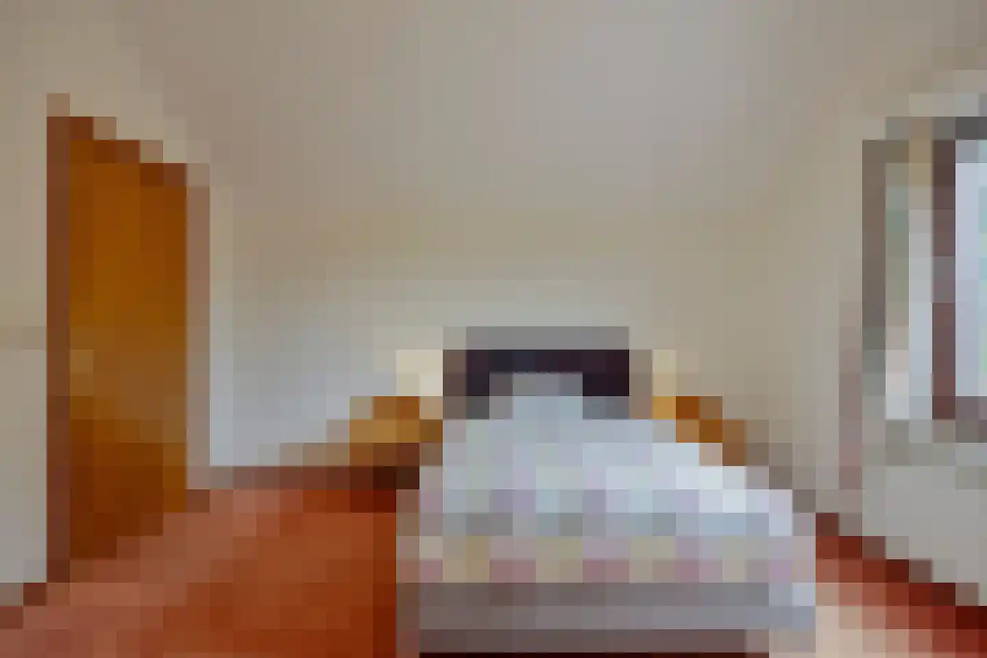 De Rooij 23 d Waalre thumbnail 28