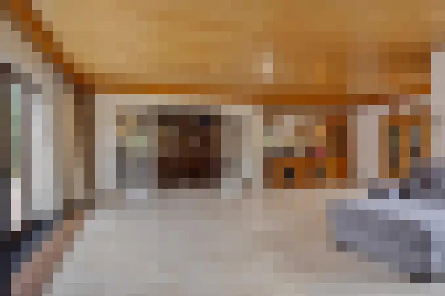 De Rooij 23 d Waalre foto 3