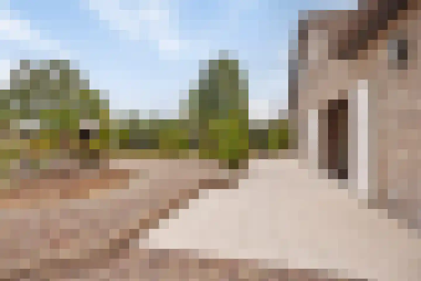 De Rooij 23 d Waalre thumbnail 37