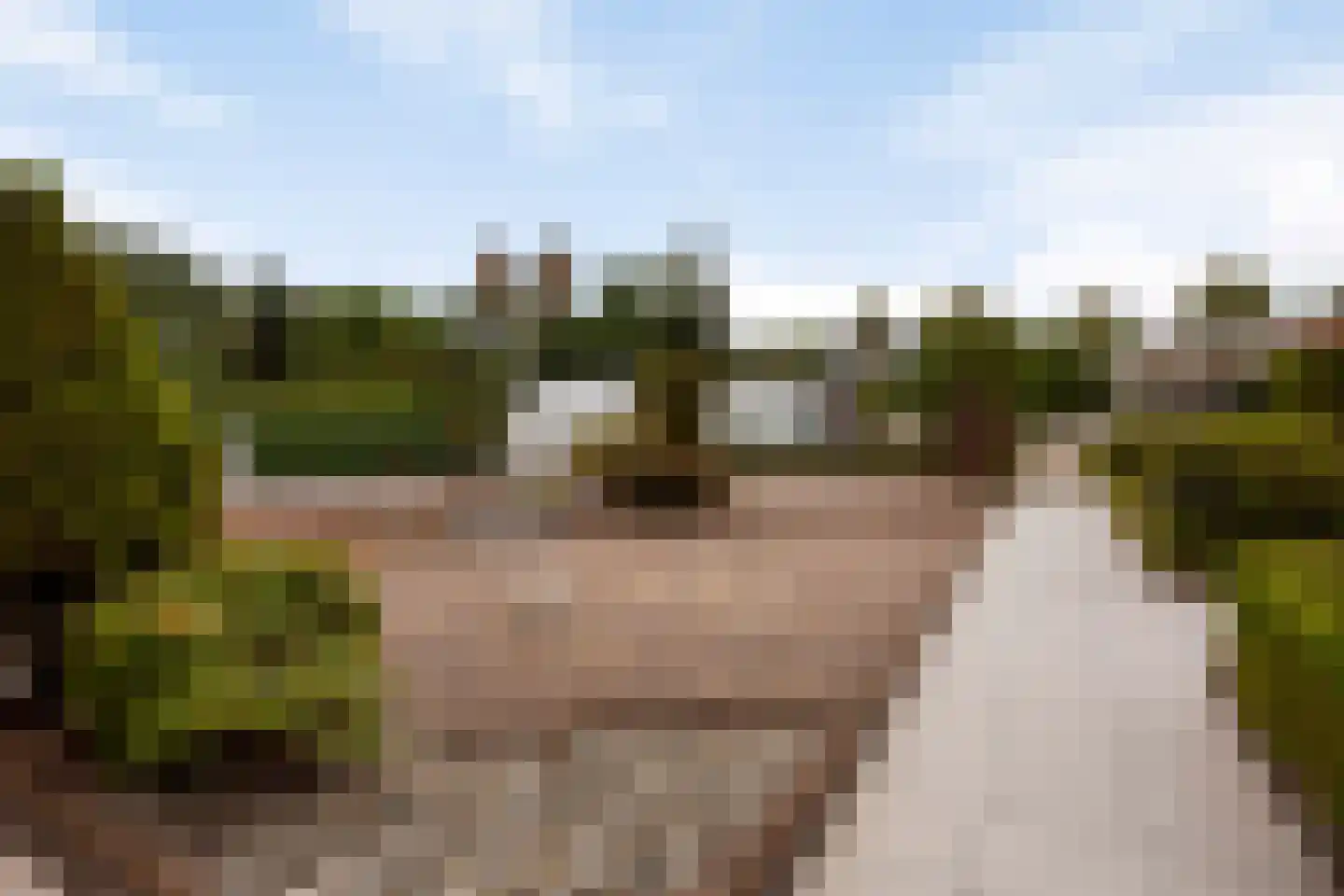 De Rooij 23 d Waalre thumbnail 38