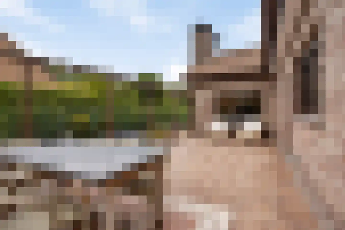 De Rooij 23 d Waalre thumbnail 39