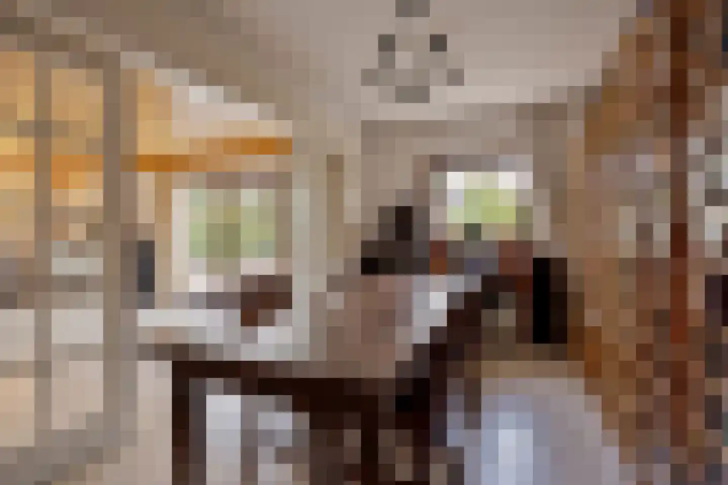 De Rooij 23 d Waalre thumbnail 4