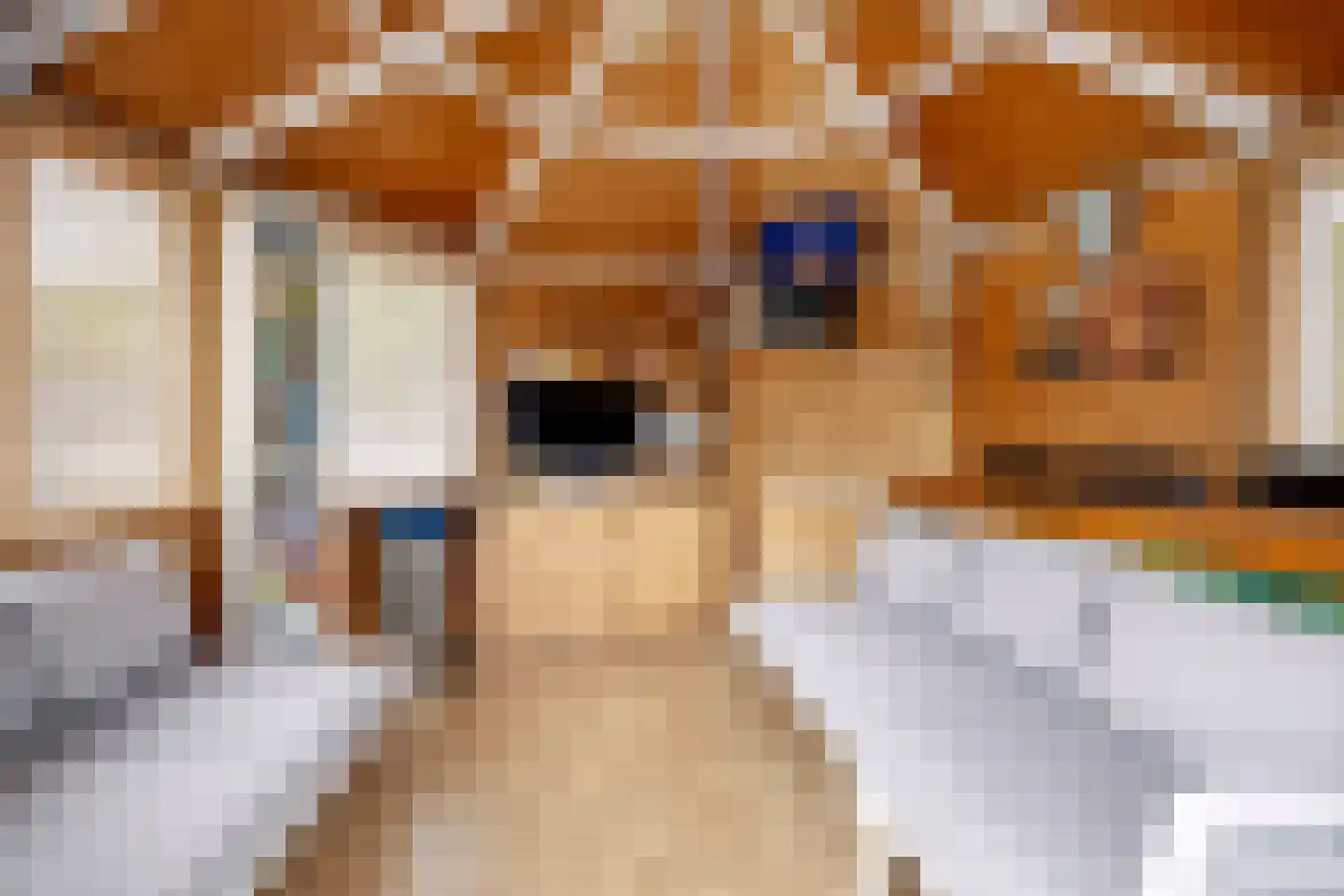 De Rooij 23 d Waalre thumbnail 41