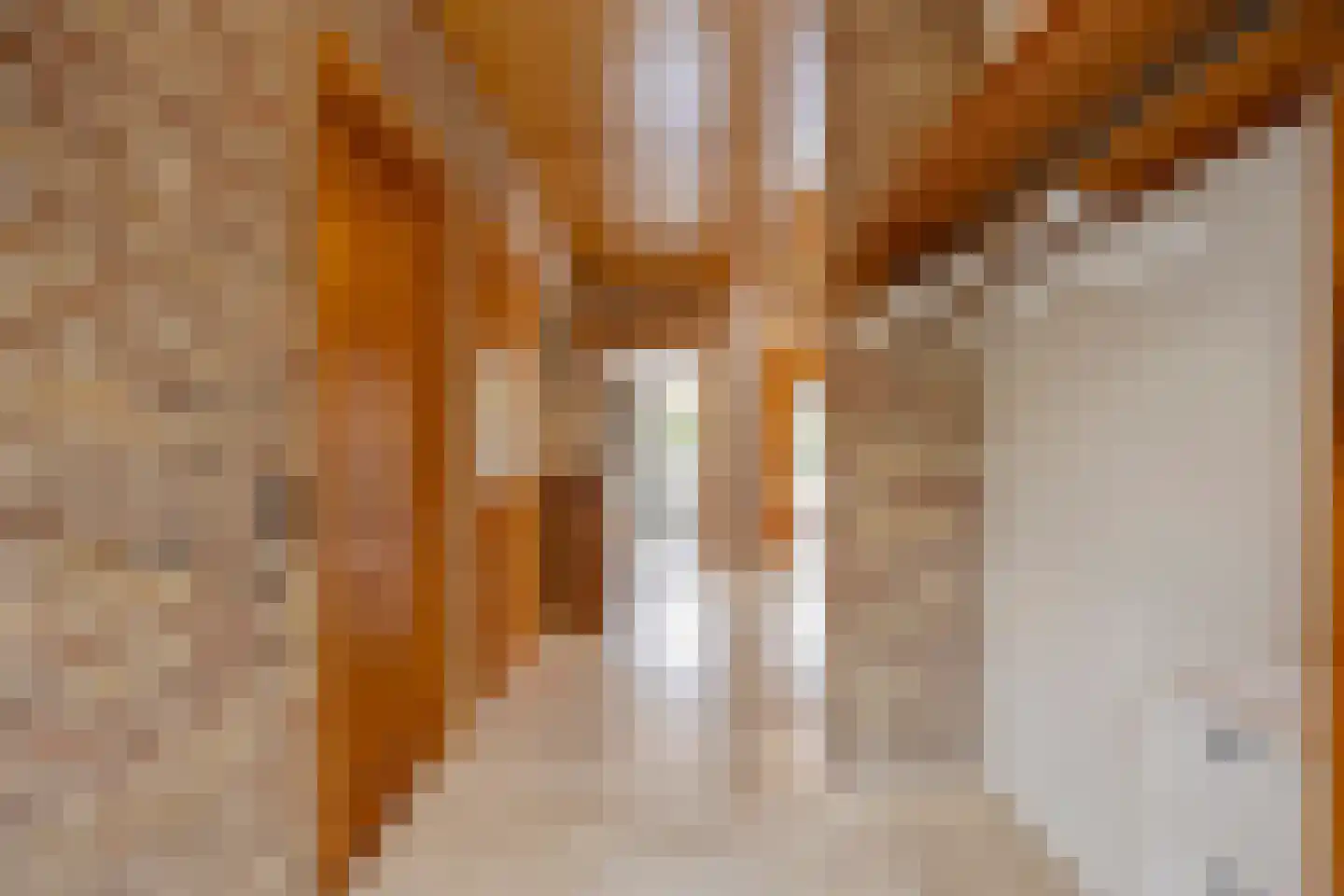 De Rooij 23 d Waalre thumbnail 6