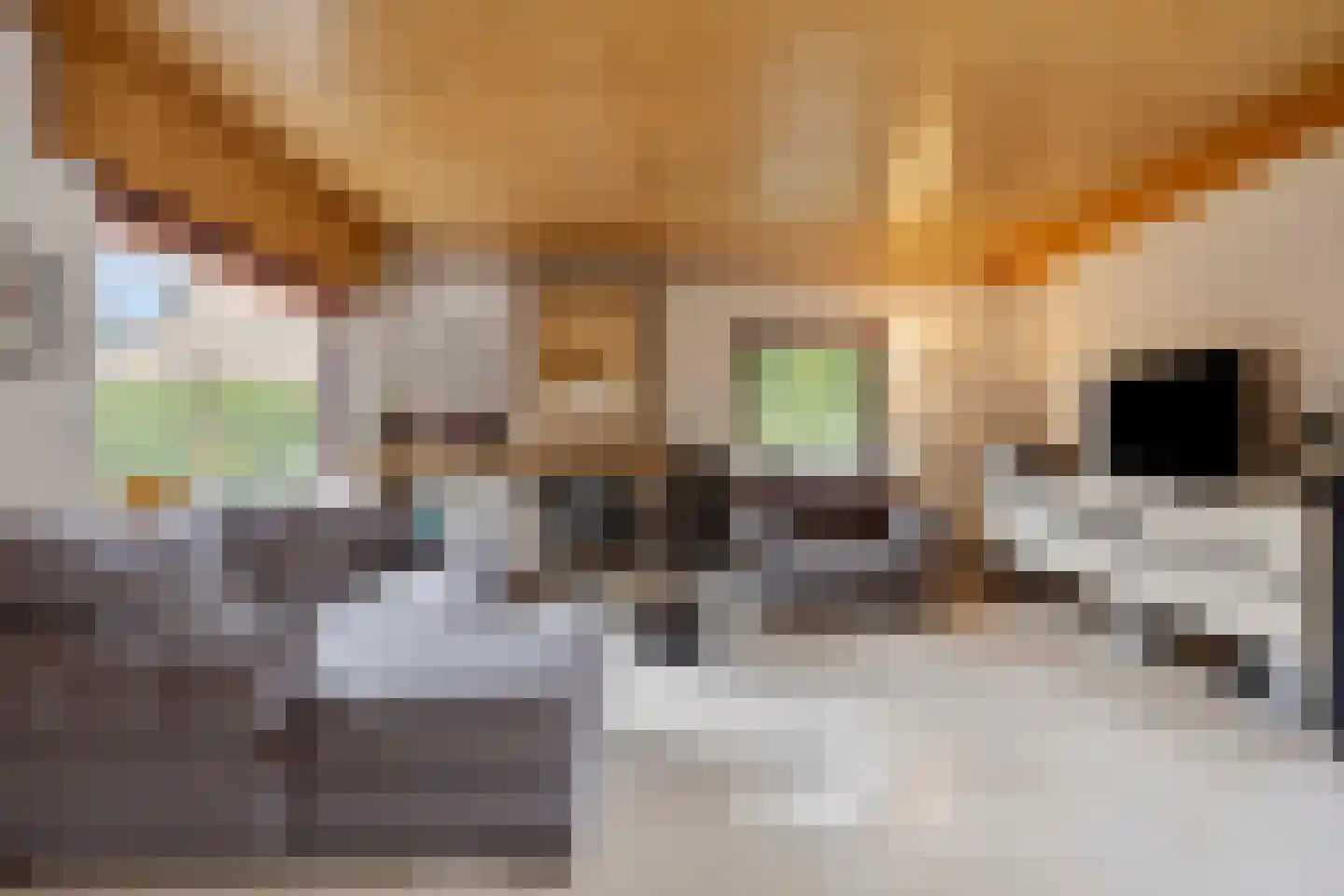De Rooij 23 d Waalre thumbnail 8