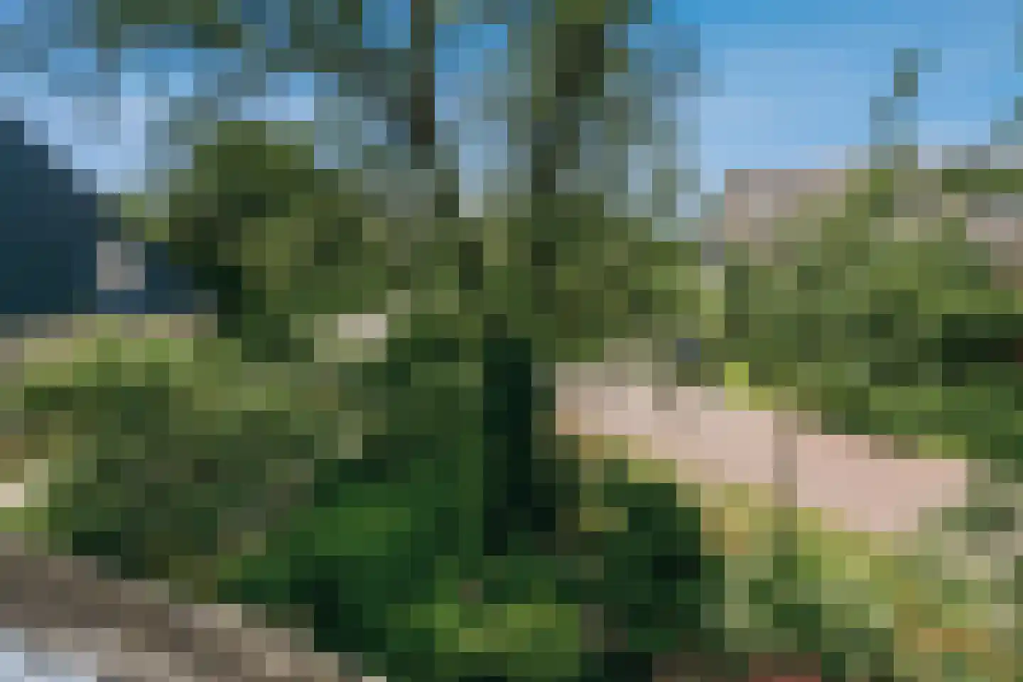 De Rookamer 19 Heiloo thumbnail 31