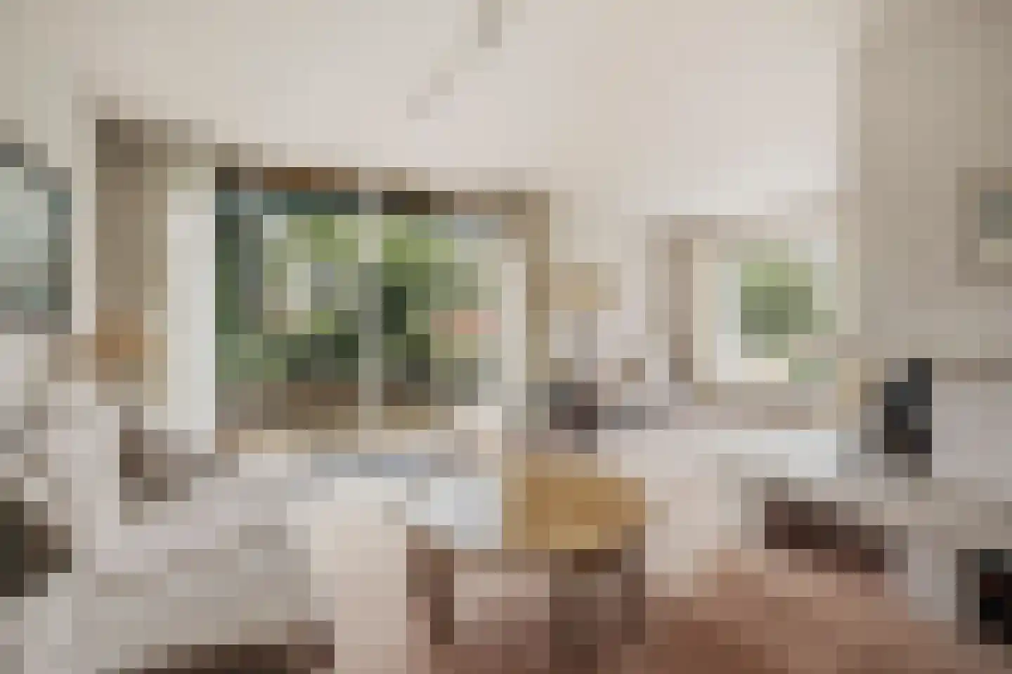 De Rookamer 19 Heiloo thumbnail 4