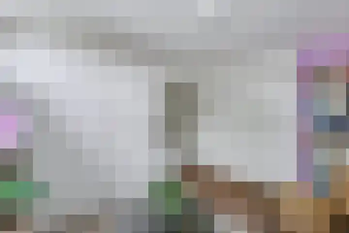 de Roolaan 31 Westmaas thumbnail 25