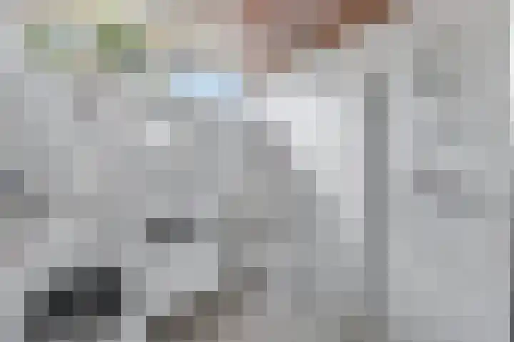 de Roolaan 31 Westmaas thumbnail 26