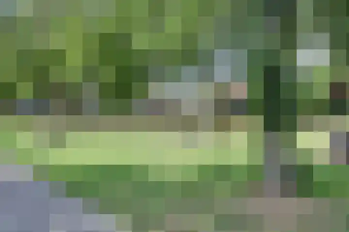 de Roolaan 31 Westmaas thumbnail 32