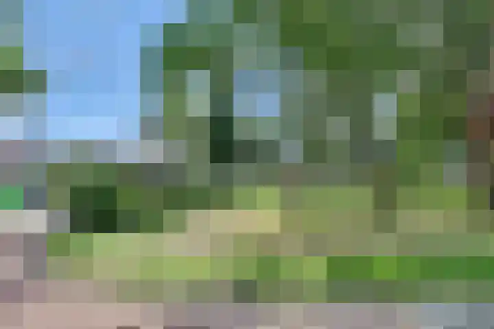 de Roolaan 31 Westmaas thumbnail 33
