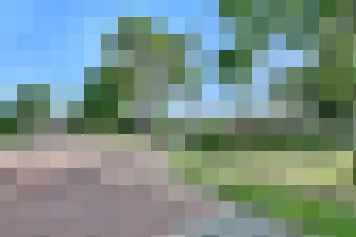 de Roolaan 31 Westmaas thumbnail 35