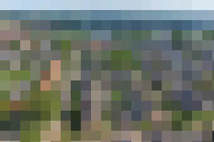 de Roolaan 31 Westmaas thumbnail 37