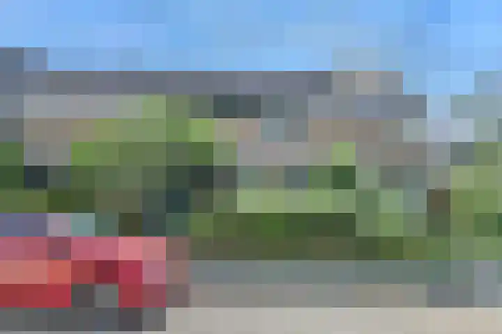 de Roolaan 31 Westmaas thumbnail 4