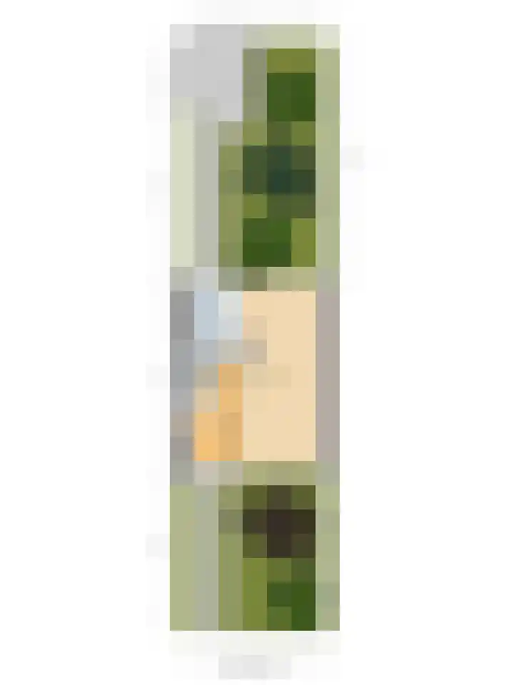 de Roolaan 31 Westmaas thumbnail 47