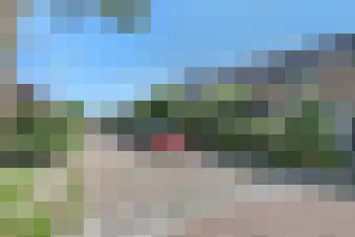 de Roolaan 31 Westmaas thumbnail 5