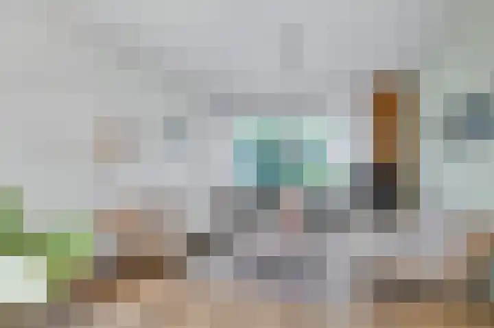 de Roolaan 31 Westmaas thumbnail 9