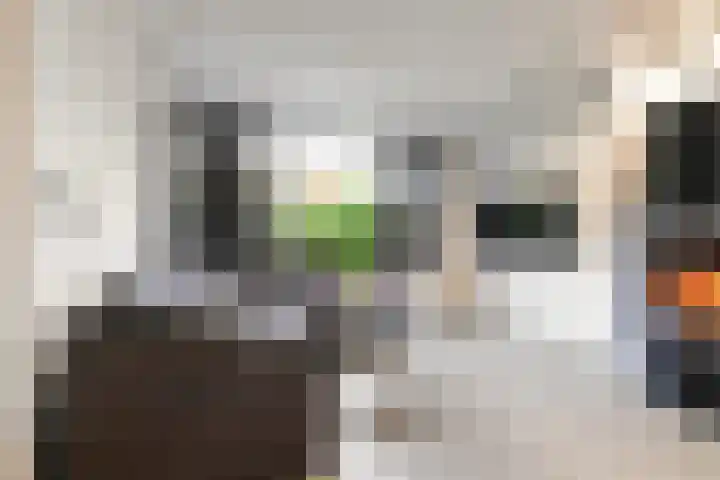 de Roonlaan 33 Waspik thumbnail 11