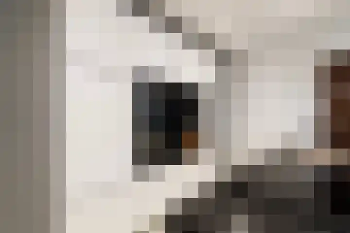 de Roonlaan 33 Waspik thumbnail 13