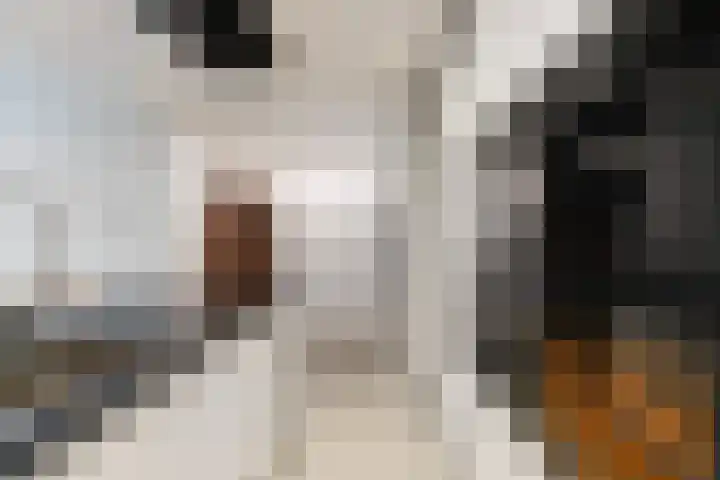de Roonlaan 33 Waspik thumbnail 14