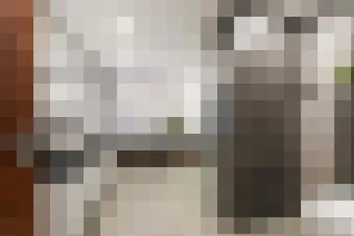de Roonlaan 33 Waspik thumbnail 17