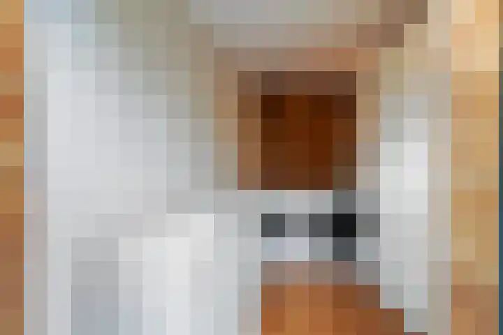 de Roonlaan 33 Waspik thumbnail 20