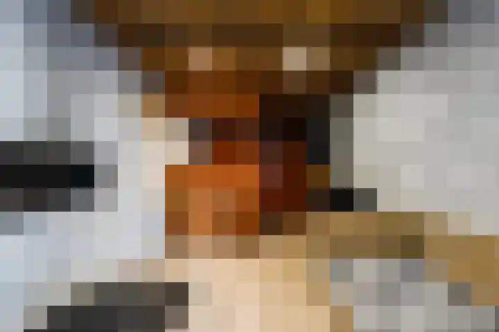 de Roonlaan 33 Waspik thumbnail 21