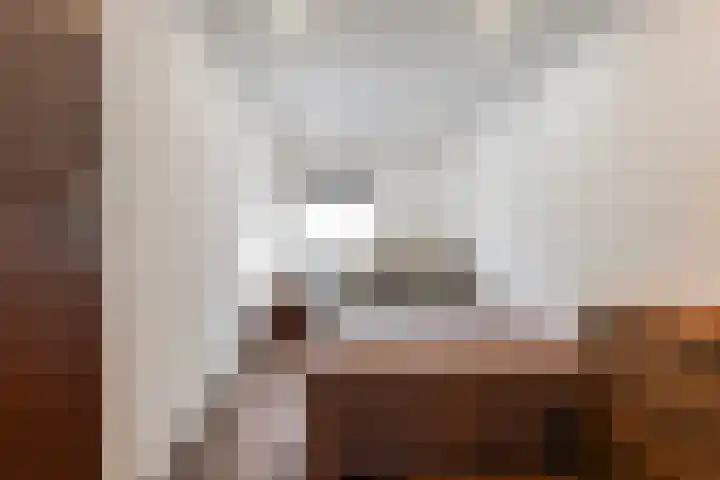 de Roonlaan 33 Waspik thumbnail 24