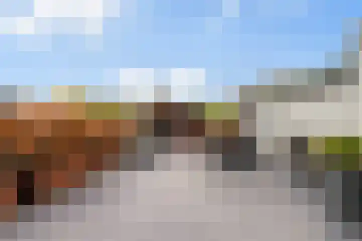 de Roonlaan 33 Waspik thumbnail 34