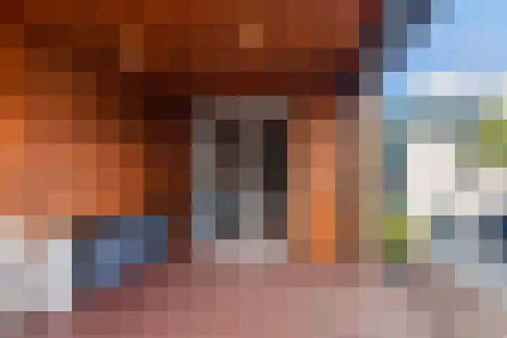 de Roonlaan 33 Waspik thumbnail 36