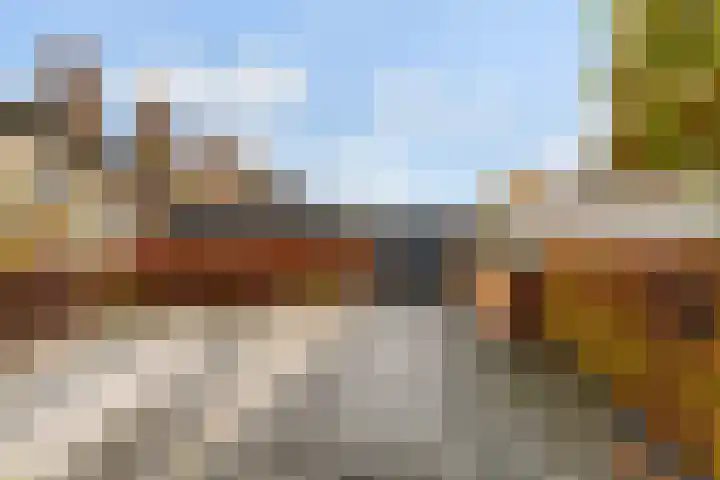 de Roonlaan 33 Waspik thumbnail 38