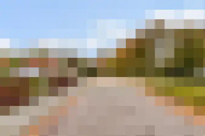de Roonlaan 33 Waspik thumbnail 41