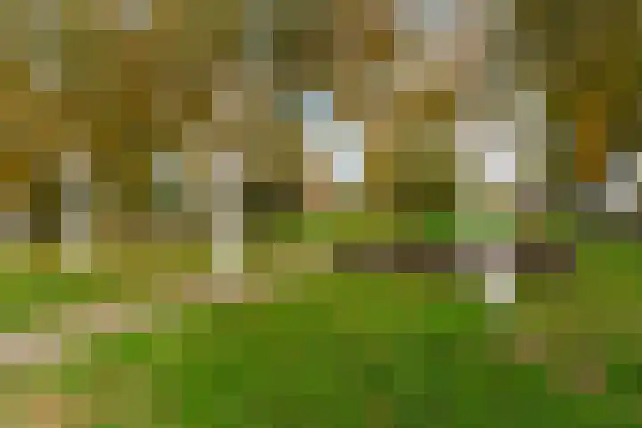 de Roonlaan 33 Waspik thumbnail 42