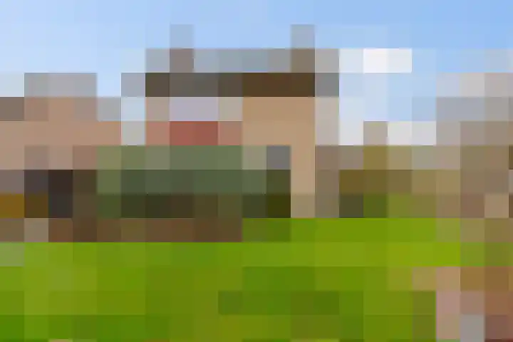 de Roonlaan 33 Waspik thumbnail 43