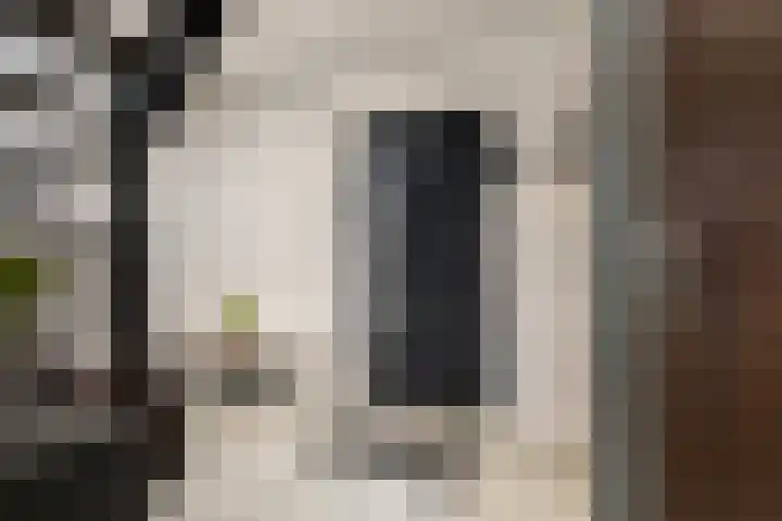 de Roonlaan 33 Waspik thumbnail 5