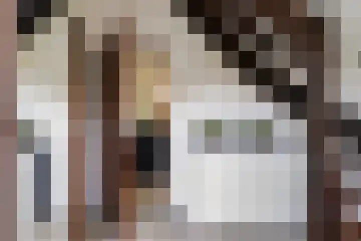 de Roonlaan 33 Waspik thumbnail 6
