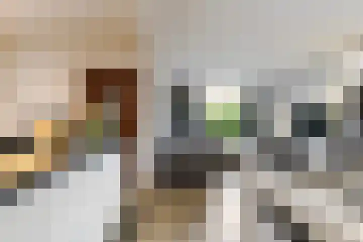 de Roonlaan 33 Waspik thumbnail 7