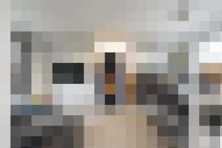de Roonlaan 33 Waspik thumbnail 8