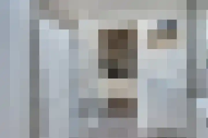 De Roop 11 Hoogkarspel thumbnail 12