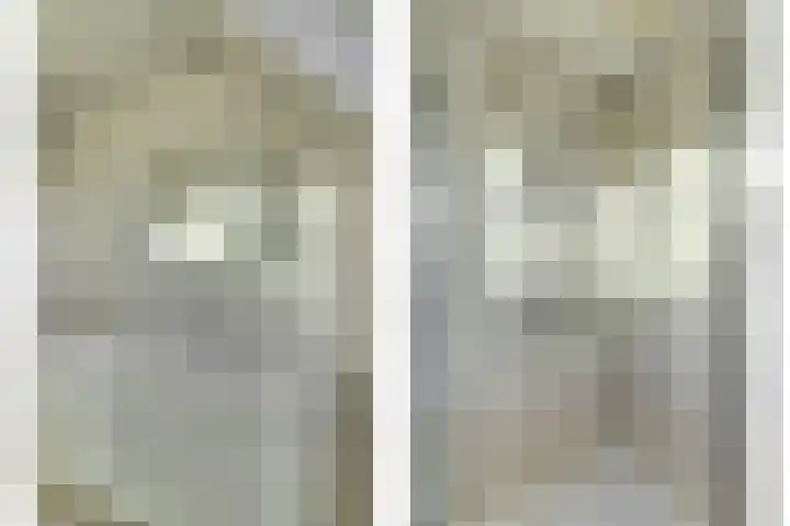De Roop 11 Hoogkarspel thumbnail 20