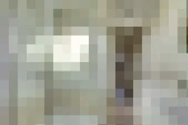 De Roop 11 Hoogkarspel thumbnail 21